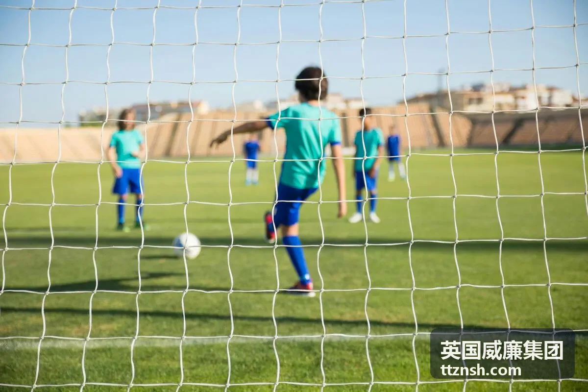跨境合规架构服务
