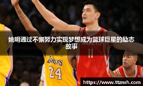摩根综合体育官网