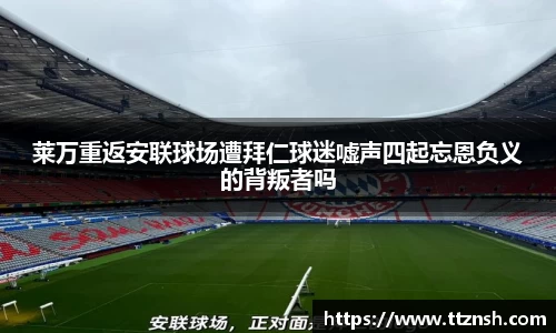 摩根体育娱乐